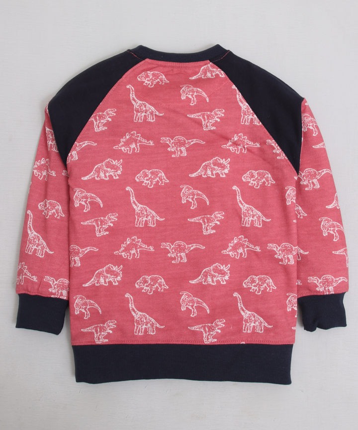 Dinosaur Graphic Sweatshirt