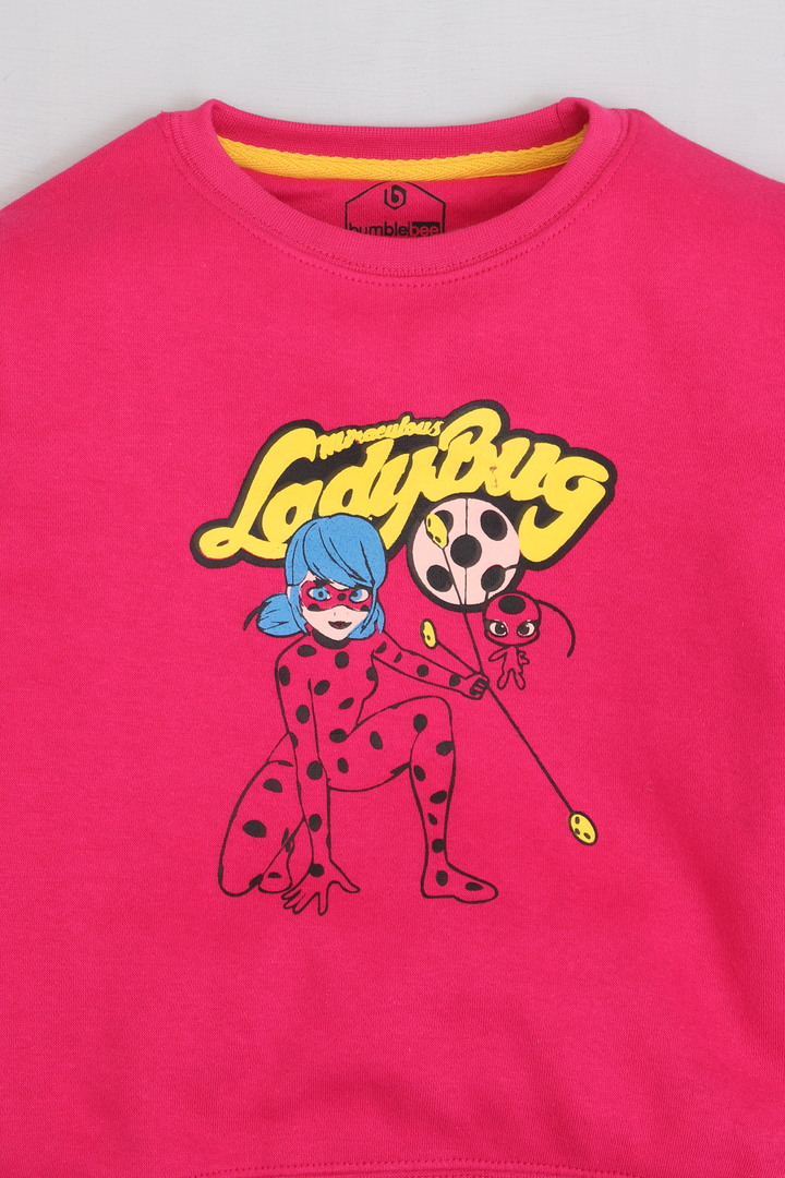 Ladybug Sweatshirt